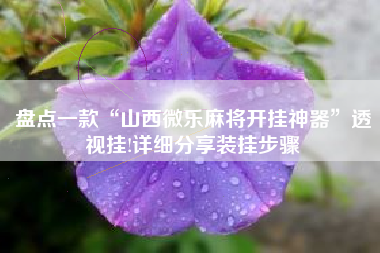 盘点一款“山西微乐麻将开挂神器”透视挂!详细分享装挂步骤