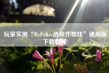 玩家实测“WePoKer透视作弊挂”通用版下载教程!