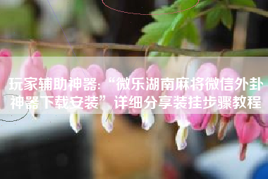 玩家辅助神器:“微乐湖南麻将微信外卦神器下载安装”详细分享装挂步骤教程