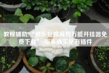 教程辅助!“微乐捉鸡麻将万能开挂器免费下载	”(原来确实是有插件