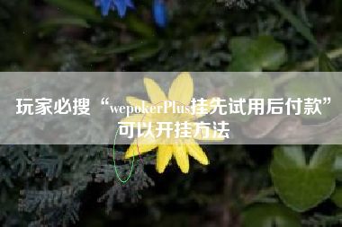 玩家必搜“wepokerPlus挂先试用后付款”可以开挂方法