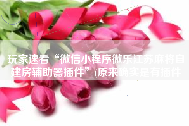 玩家速看“微信小程序微乐江苏麻将自建房辅助器插件”(原来确实是有插件