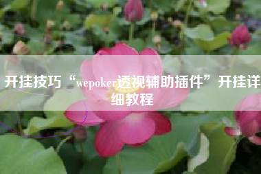 开挂技巧“wepoker透视辅助插件”开挂详细教程