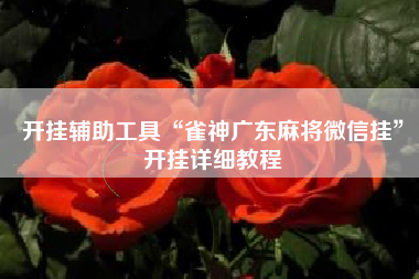 开挂辅助工具“雀神广东麻将微信挂”开挂详细教程