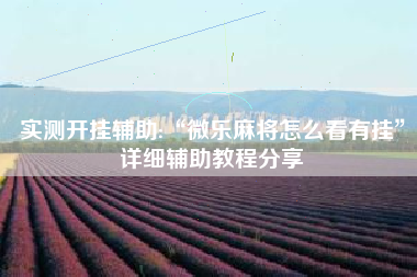 实测开挂辅助:“微乐麻将怎么看有挂”详细辅助教程分享