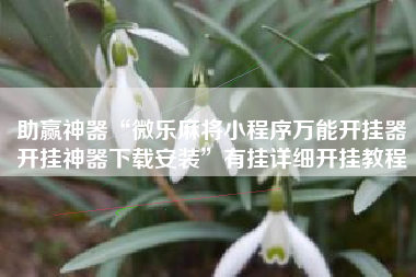 助赢神器“微乐麻将小程序万能开挂器开挂神器下载安装	”有挂详细开挂教程