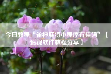 今日教程“雀神麻将小程序有挂吗”【透视软件教程分享】