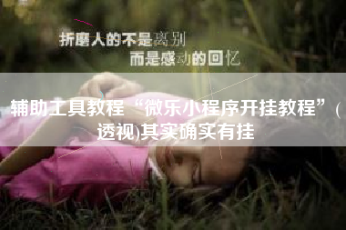 辅助工具教程“微乐小程序开挂教程	”(透视)其实确实有挂