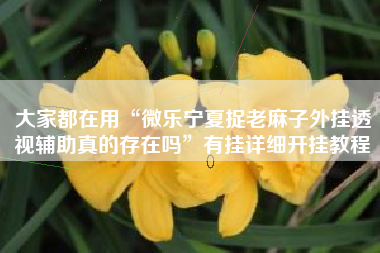 大家都在用“微乐宁夏捉老麻子外挂透视辅助真的存在吗	”有挂详细开挂教程