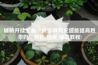 辅助开挂工具“微乐麻将充值能提高胜率吗	”开挂(透视)辅助教程!