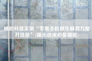 辅助科普实测“苹果手机微乐麻将万能开挂器”(曝光透视必备猫腻)