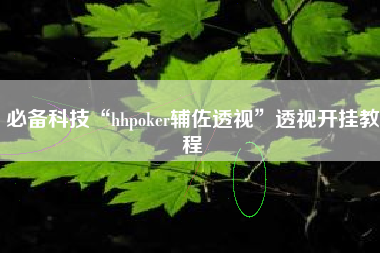 必备科技“hhpoker辅佐透视”透视开挂教程