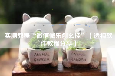 实测教程“微信微乐刨幺挂”【透视软件教程分享】