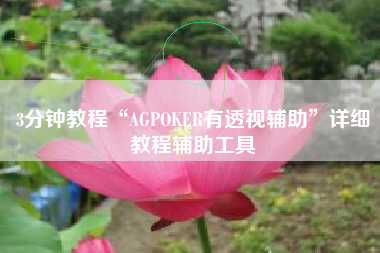 3分钟教程“AGPOKER有透视辅助	”详细教程辅助工具