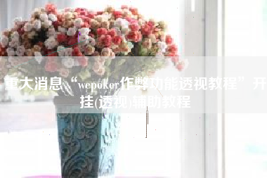 重大消息“wepoker作弊功能透视教程	”开挂(透视)辅助教程