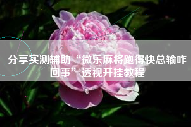 分享实测辅助“微乐麻将跑得快总输咋回事	”透视开挂教程