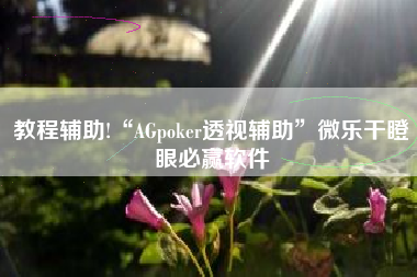教程辅助!“AGpoker透视辅助	”微乐干瞪眼必赢软件