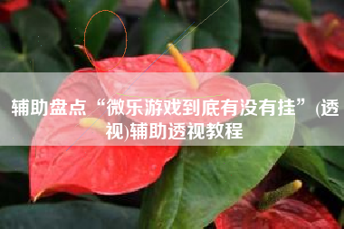 辅助盘点“微乐游戏到底有没有挂”(透视)辅助透视教程