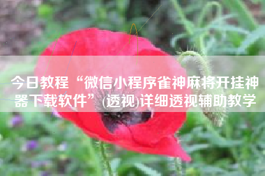 今日教程“微信小程序雀神麻将开挂神器下载软件”(透视)详细透视辅助教学