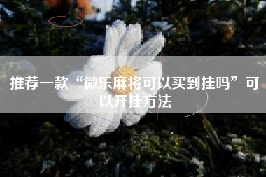 推荐一款“微乐麻将可以买到挂吗”可以开挂方法