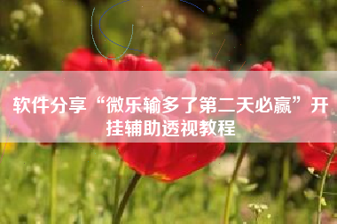 软件分享“微乐输多了第二天必赢	”开挂辅助透视教程