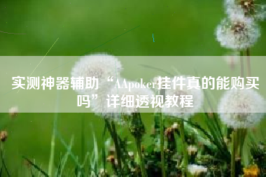 实测神器辅助“AApoker挂件真的能购买吗”详细透视教程