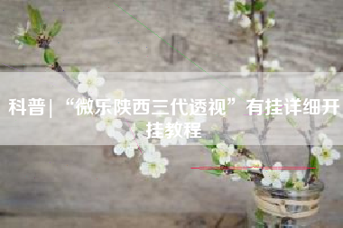 科普|“微乐陕西三代透视”有挂详细开挂教程