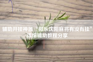 辅助开挂神器“微乐沈阳麻将有没有挂	”详细辅助教程分享