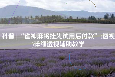 科普|“雀神麻将挂先试用后付款	”(透视)详细透视辅助教学