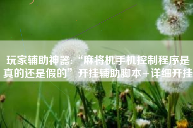 玩家辅助神器:“麻将机手机控制程序是真的还是假的”开挂辅助脚本+详细开挂