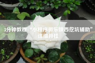 3分钟教程“小程序微乐陕西挖坑辅助”详细开挂