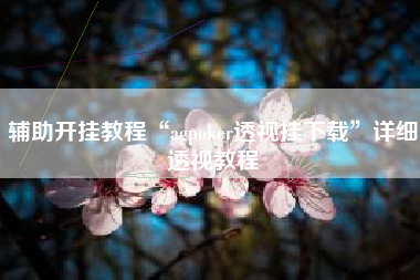 辅助开挂教程“agpoker透视挂下载”详细透视教程