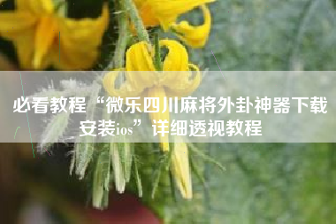 必看教程“微乐四川麻将外卦神器下载安装ios”详细透视教程