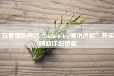玩家辅助神器“sohoopoker德州透视	”开挂辅助详细步骤