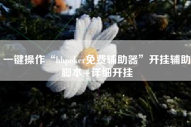 一键操作“hhpoker免费辅助器”开挂辅助脚本+详细开挂