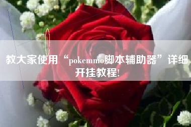 教大家使用“pokemmo脚本辅助器”详细开挂教程!