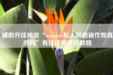 辅助开挂神器“wepoker私人局透视作弊真的吗”有挂详细开挂教程