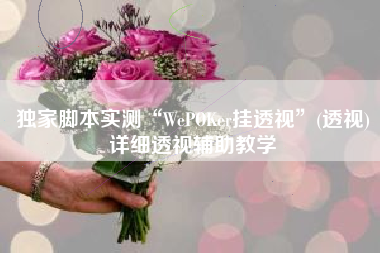 独家脚本实测“WePOKer挂透视”(透视)详细透视辅助教学