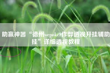 助赢神器“德州wepoker作弊透视开挂辅助挂	”详细透视教程