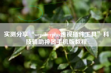 实测分享“wepokerplus透视插件工具”科技辅助神器手机版教程
