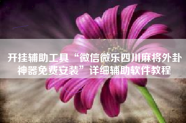 开挂辅助工具“微信微乐四川麻将外卦神器免费安装”详细辅助软件教程