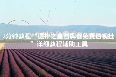 3分钟教程“德扑之星看牌器免费透视挂”详细教程辅助工具