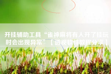 开挂辅助工具“雀神麻将有人开了挂玩时会出现异常”【透视软件教程分享】