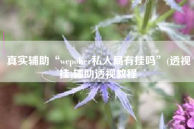 真实辅助“wepoKer私人局有挂吗”(透视挂)辅助透视教程