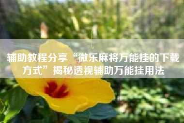 辅助教程分享“微乐麻将万能挂的下载方式”揭秘透视辅助万能挂用法