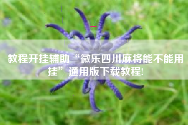 教程开挂辅助“微乐四川麻将能不能用挂	”通用版下载教程!
