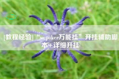 [教程经验]“wepoker万能挂”开挂辅助脚本+详细开挂