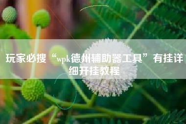 玩家必搜“wpk德州辅助器工具”有挂详细开挂教程