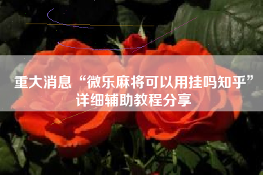 重大消息“微乐麻将可以用挂吗知乎”详细辅助教程分享