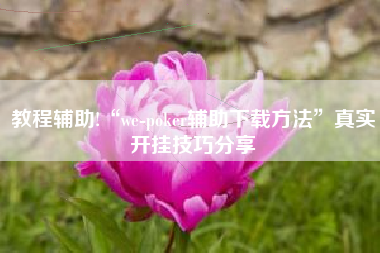 教程辅助!“we-poker辅助下载方法”真实开挂技巧分享